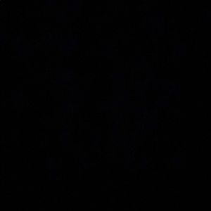 Meet your Posher, Davin